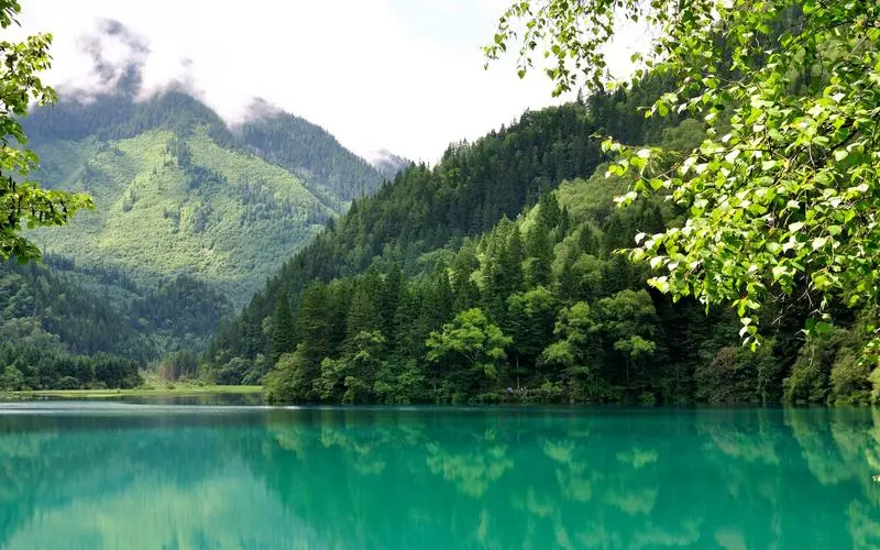 创意新型稳定性